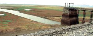 HIRAKUD RESERVOIR DRIED: No water for farming