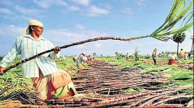 Employees’ union seeks revival of defunct Bargarh Cooperative Sugar Mill