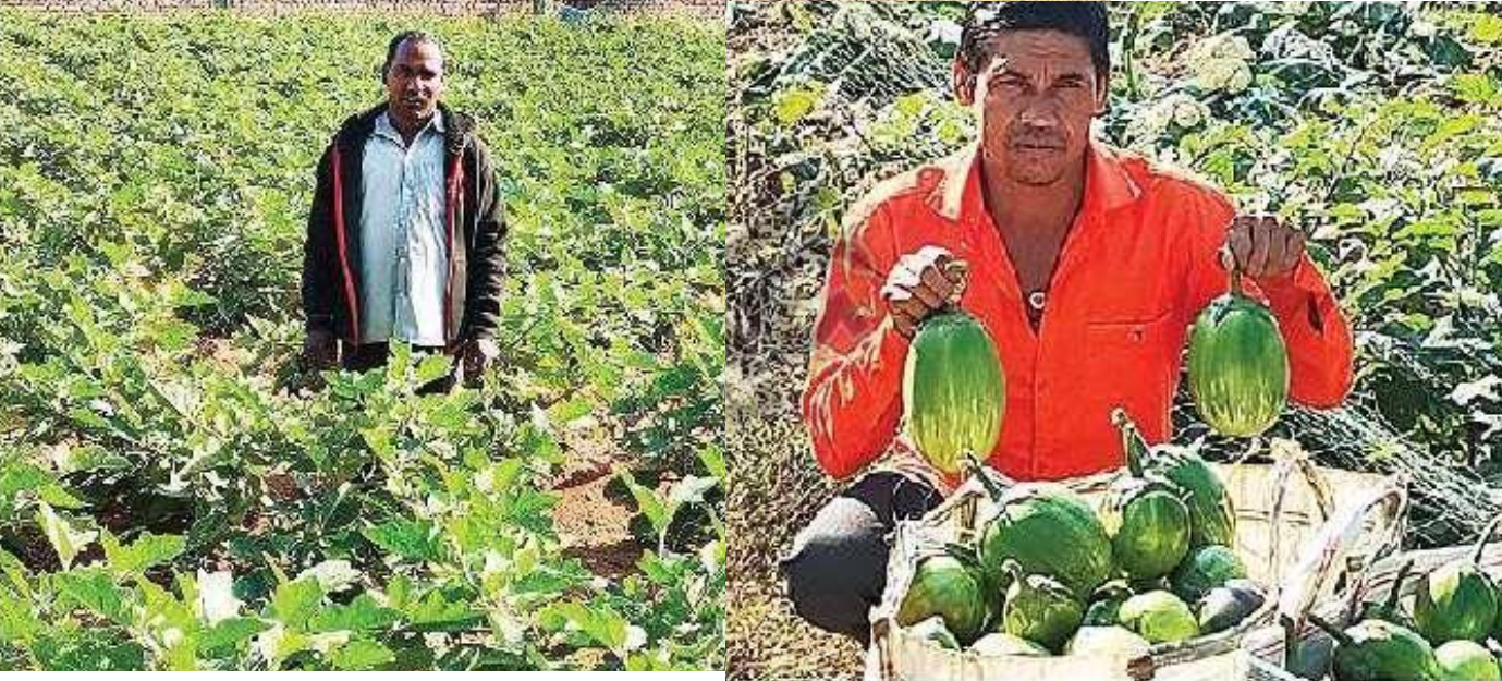 Everyone Lakhpati by Farming in the village