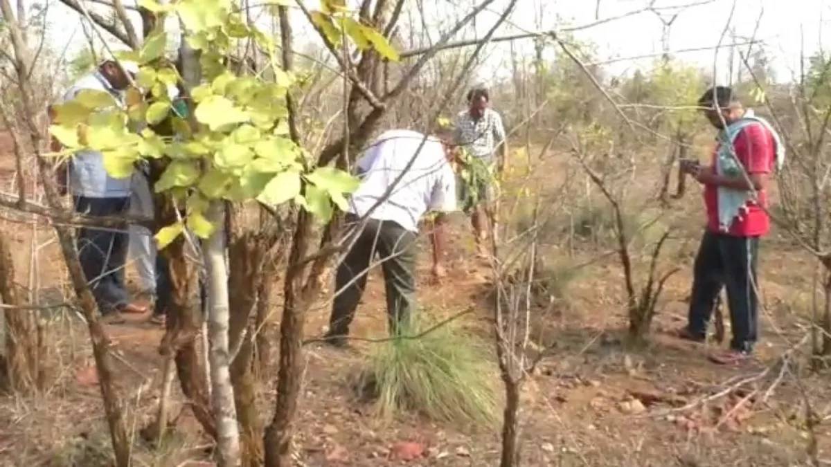 Human skeleton found from forest in Balangir