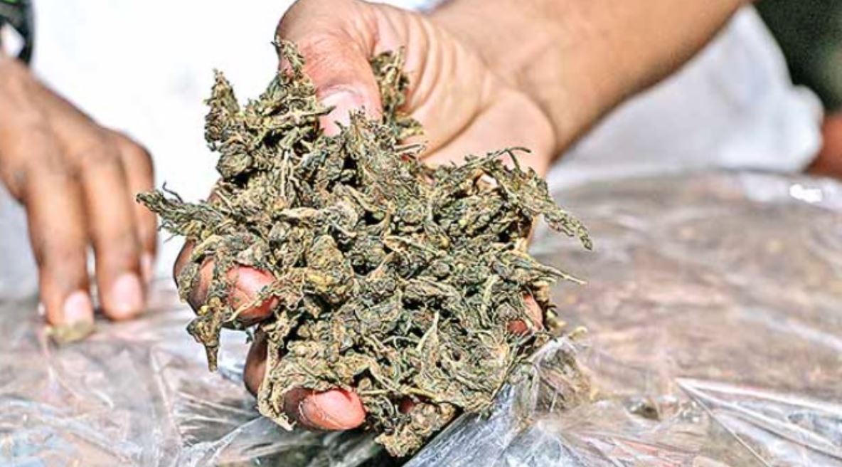 Police seized Ganja worth Rs. 50 Lakh